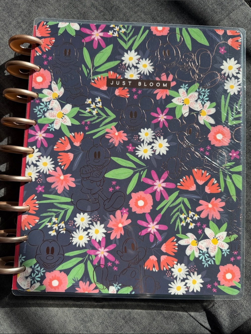 Disney x Happy Planner Undated Journal Diary